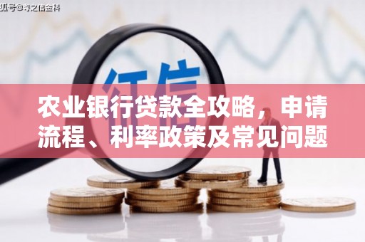 灞桥农业银行贷款全攻略，申请流程、利率政策及常见问题解析