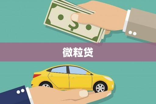 灞桥微粒贷