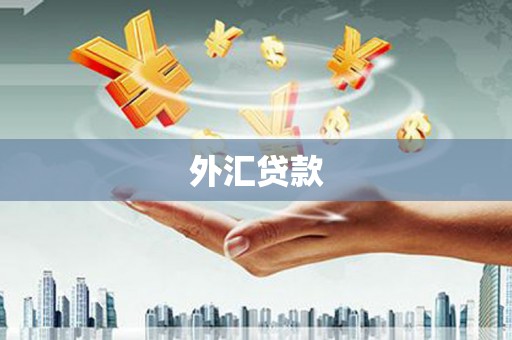 灞桥外汇贷款