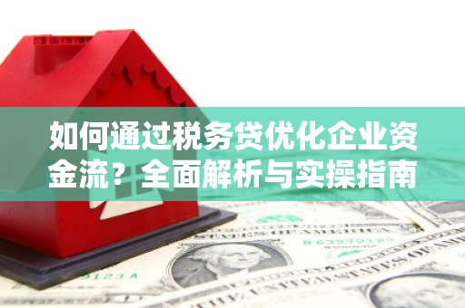 灞桥如何通过税务贷优化企业资金流？全面解析与实操指南
