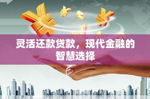 灞桥灵活还款贷款，现代金融的智慧选择