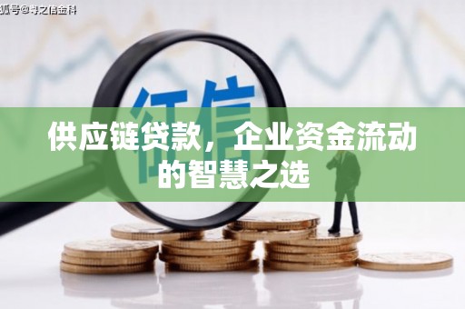 灞桥供应链贷款，企业资金流动的智慧之选