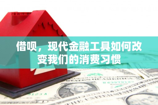 灞桥借呗，现代金融工具如何改变我们的消费习惯