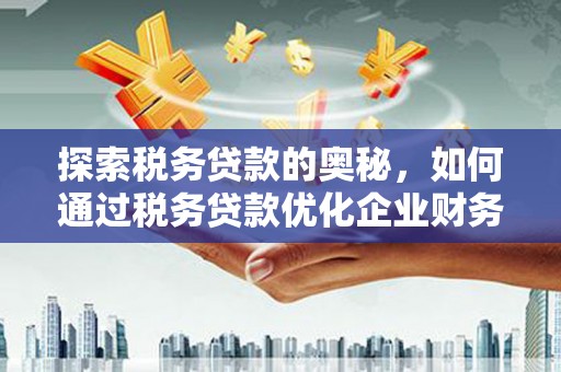 灞桥探索税务贷款的奥秘，如何通过税务贷款优化企业财务