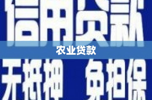灞桥农业贷款