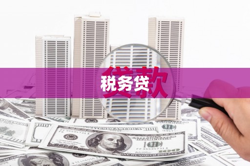 灞桥税务贷
