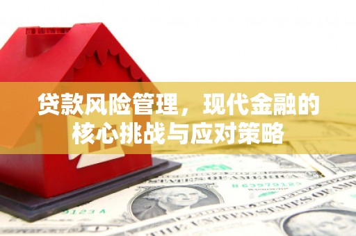 灞桥贷款风险管理，现代金融的核心挑战与应对策略