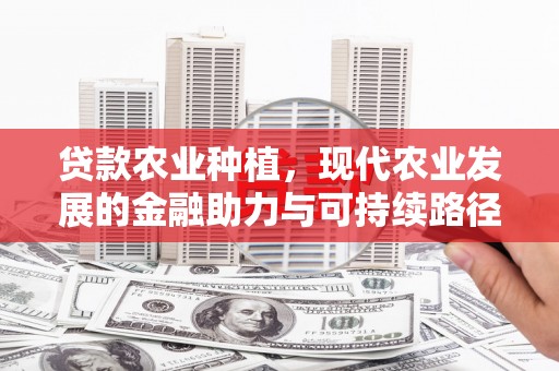 灞桥贷款农业种植，现代农业发展的金融助力与可持续路径