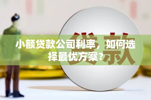 灞桥小额贷款公司利率，如何选择最优方案？