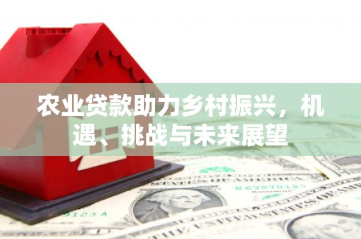 灞桥农业贷款助力乡村振兴，机遇、挑战与未来展望