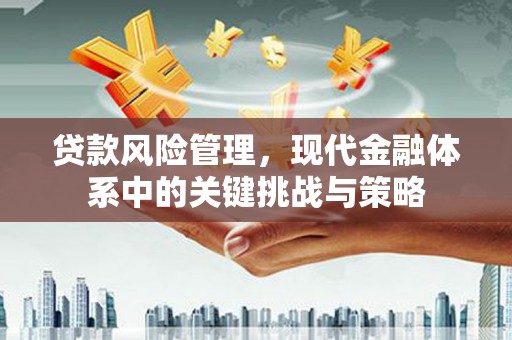 灞桥贷款风险管理，现代金融体系中的关键挑战与策略