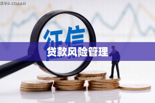灞桥贷款风险管理