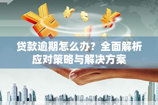 灞桥贷款逾期怎么办？全面解析应对策略与解决方案