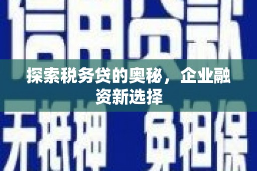 灞桥探索税务贷的奥秘，企业融资新选择