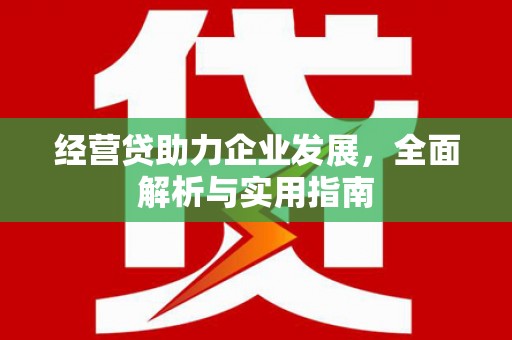 灞桥经营贷助力企业发展，全面解析与实用指南