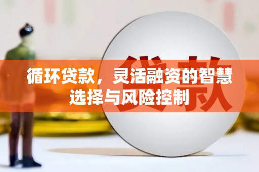 灞桥循环贷款，灵活融资的智慧选择与风险控制