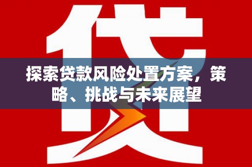 灞桥探索贷款风险处置方案，策略、挑战与未来展望