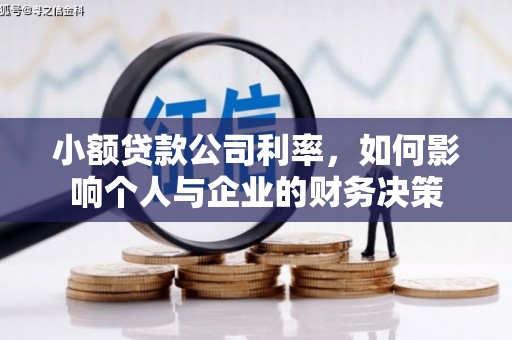 灞桥小额贷款公司利率，如何影响个人与企业的财务决策