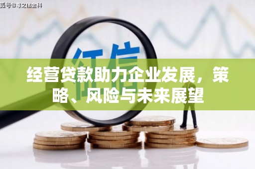 灞桥经营贷款助力企业发展，策略、风险与未来展望
