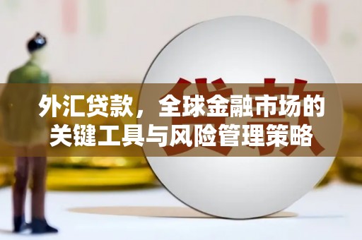 灞桥外汇贷款，全球金融市场的关键工具与风险管理策略