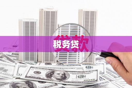 灞桥税务贷