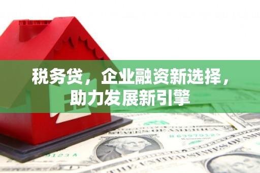 灞桥税务贷，企业融资新选择，助力发展新引擎