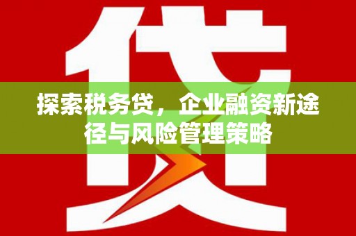 灞桥探索税务贷，企业融资新途径与风险管理策略