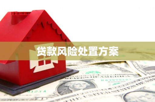 灞桥贷款风险处置方案