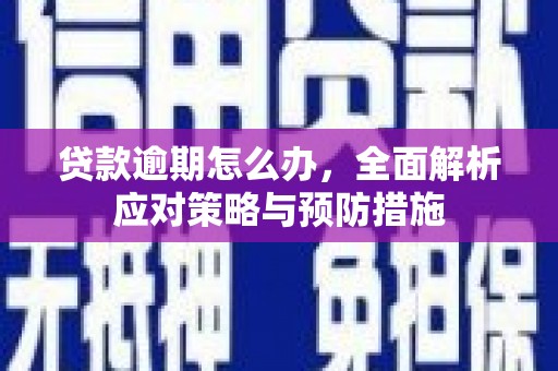 灞桥贷款逾期怎么办，全面解析应对策略与预防措施