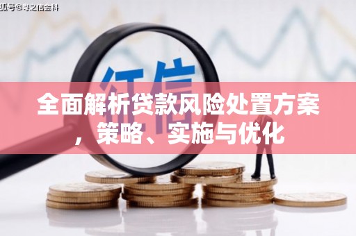 灞桥全面解析贷款风险处置方案，策略、实施与优化