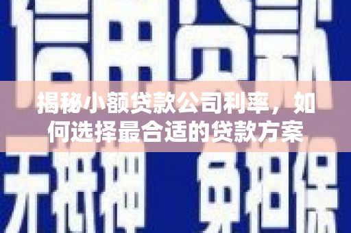 灞桥揭秘小额贷款公司利率，如何选择最合适的贷款方案