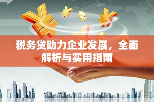 灞桥税务贷助力企业发展，全面解析与实用指南