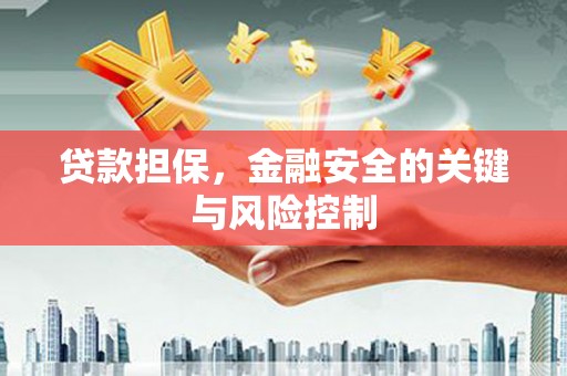 灞桥贷款担保，金融安全的关键与风险控制