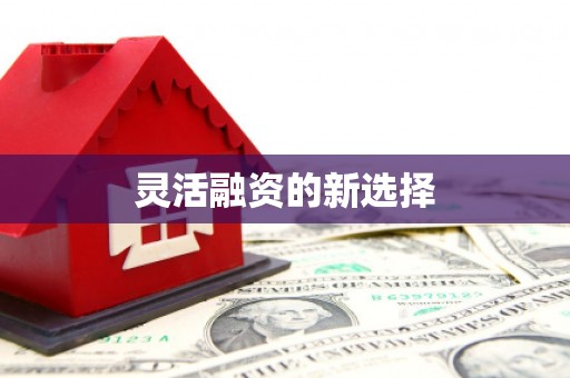 灞桥灵活融资的新选择