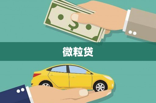 灞桥微粒贷