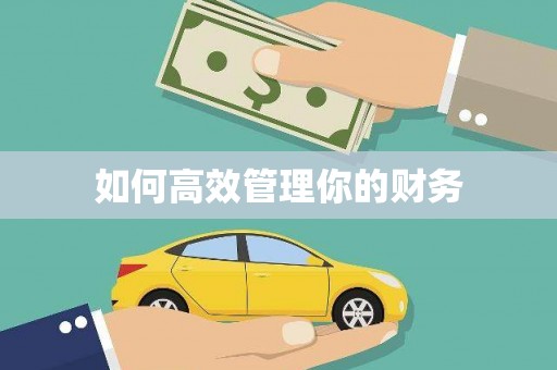 灞桥如何高效管理你的财务