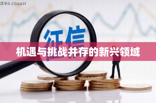 灞桥机遇与挑战并存的新兴领域